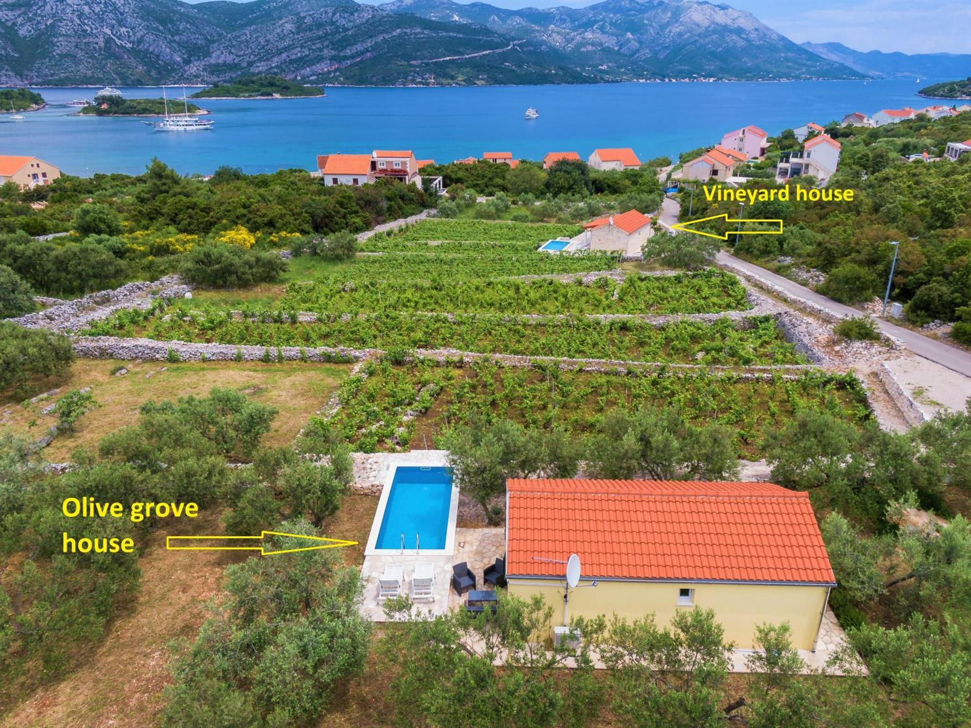 Вилла Vineyard House & Olive Grove House Рачишче Экстерьер фото
