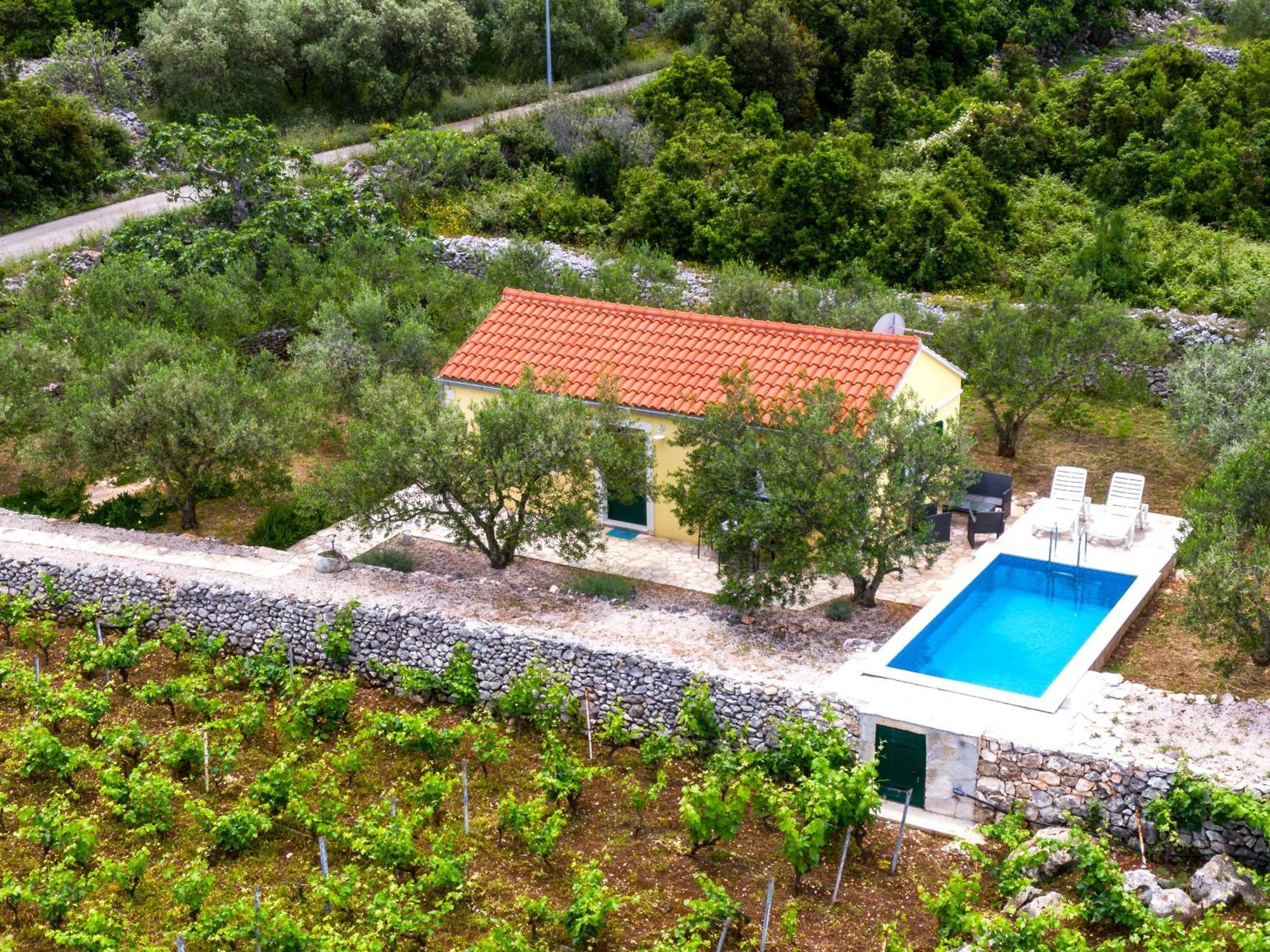 Вилла Vineyard House & Olive Grove House Рачишче Экстерьер фото