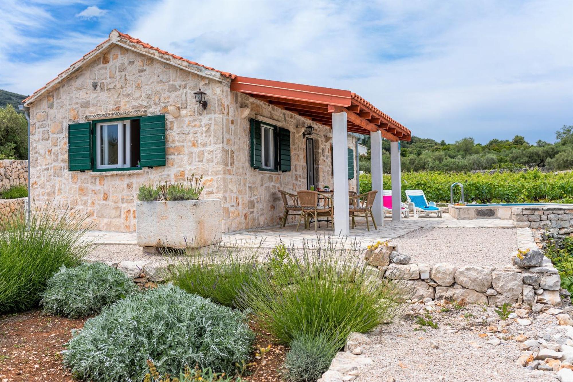 Вилла Vineyard House & Olive Grove House Рачишче Экстерьер фото