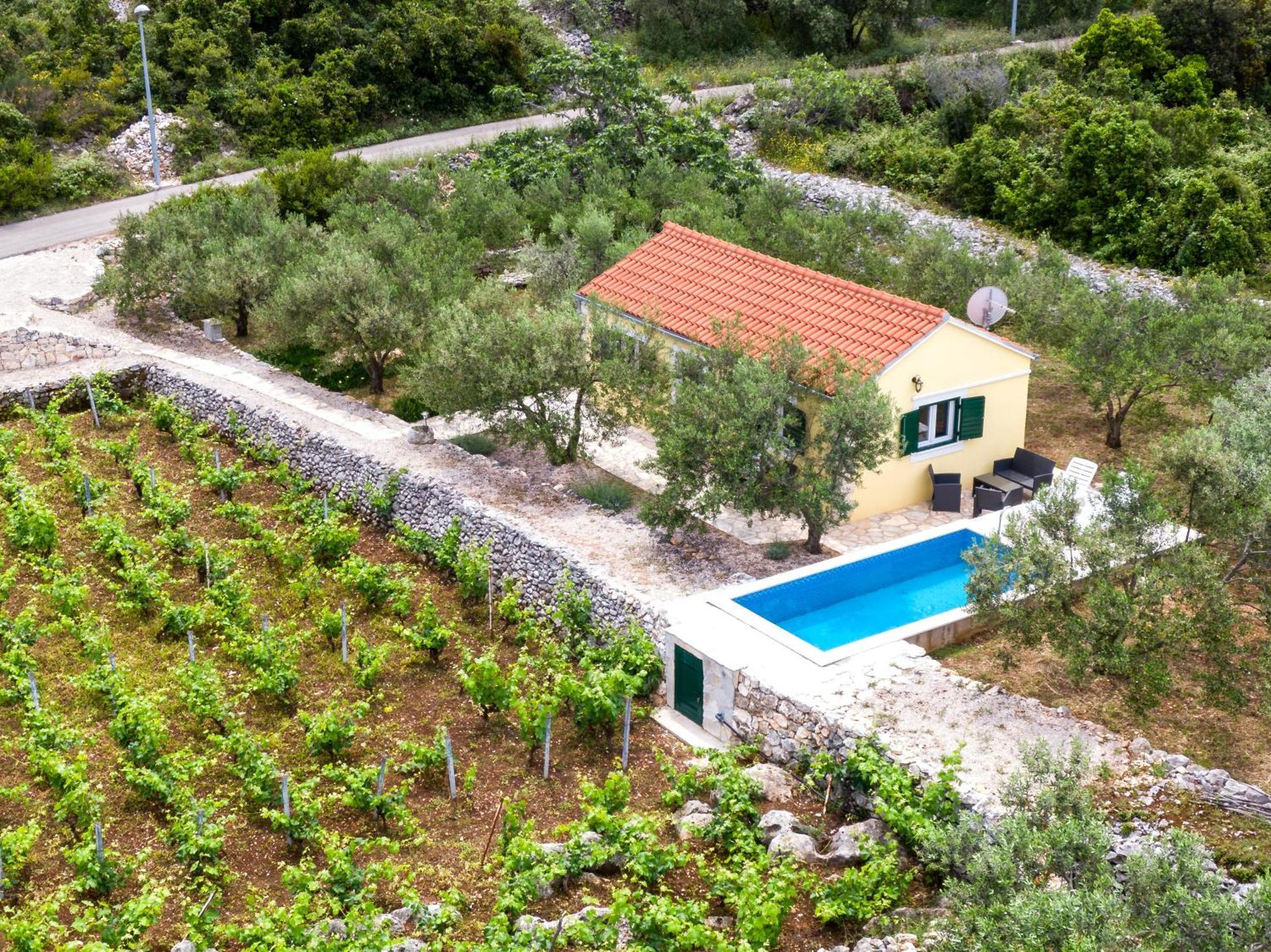 Вилла Vineyard House & Olive Grove House Рачишче Экстерьер фото
