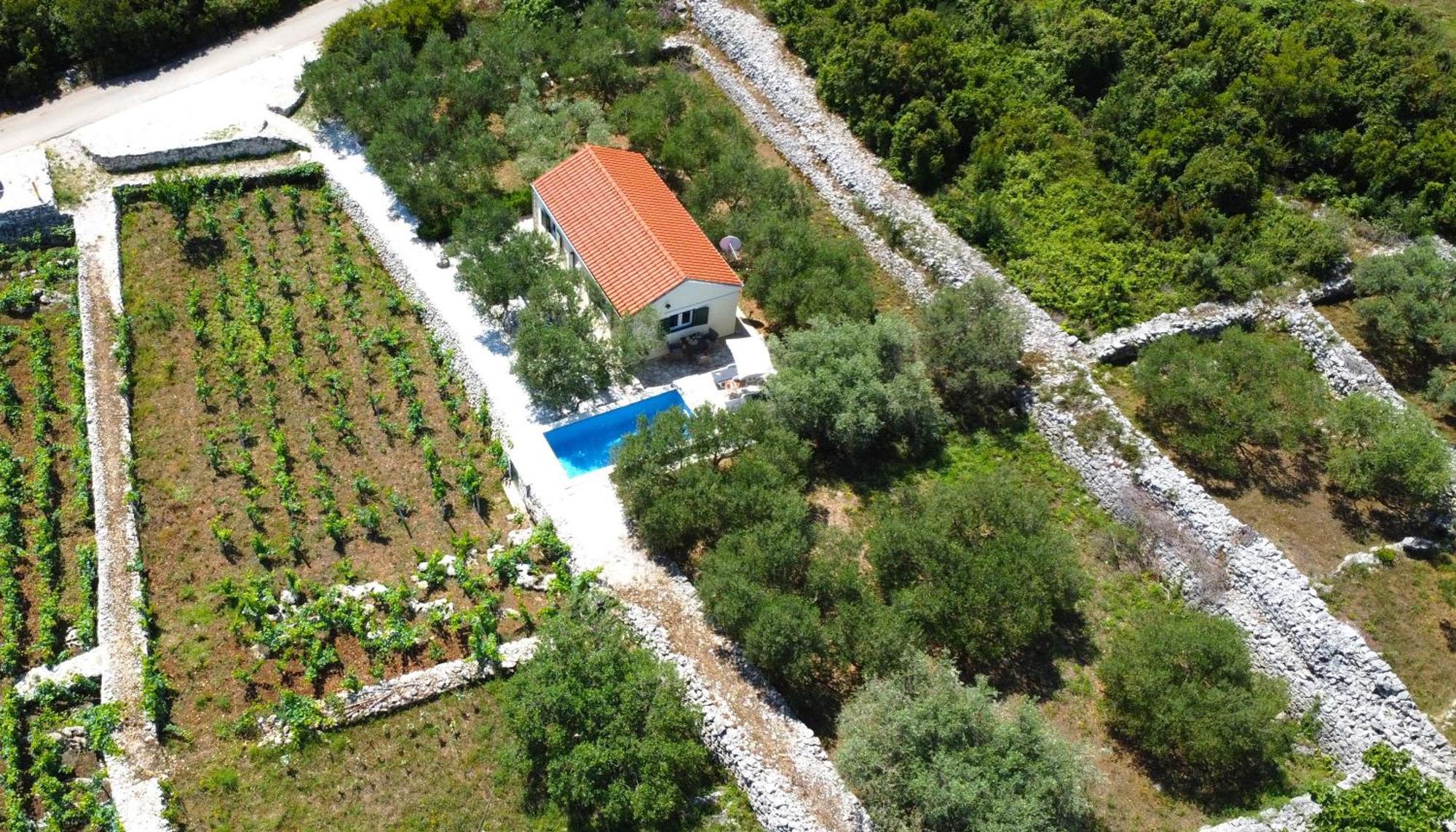 Вилла Vineyard House & Olive Grove House Рачишче Экстерьер фото