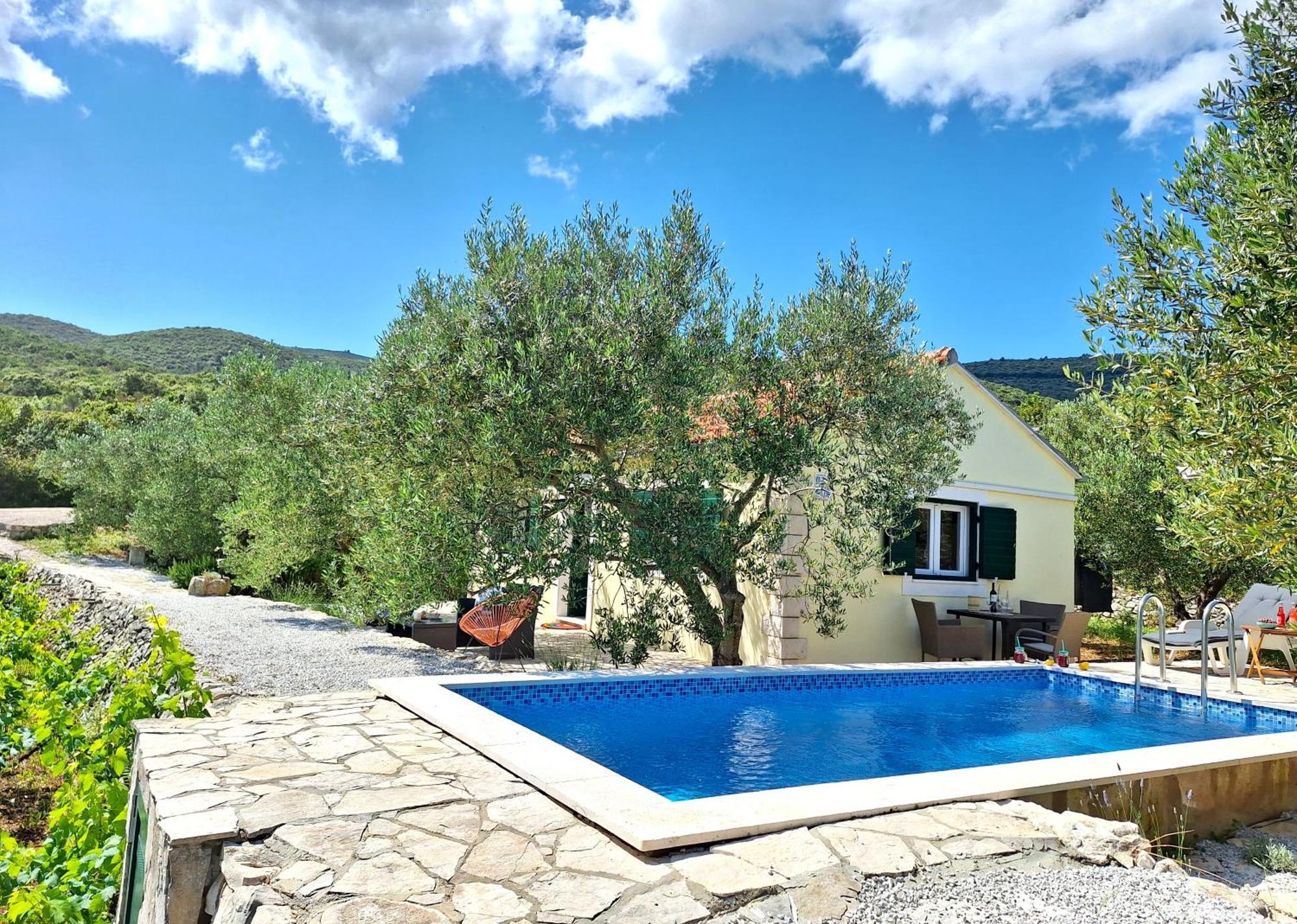 Вилла Vineyard House & Olive Grove House Рачишче Экстерьер фото