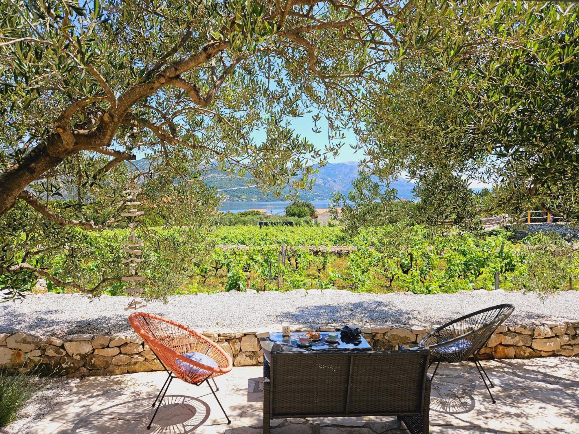 Вилла Vineyard House & Olive Grove House Рачишче Экстерьер фото