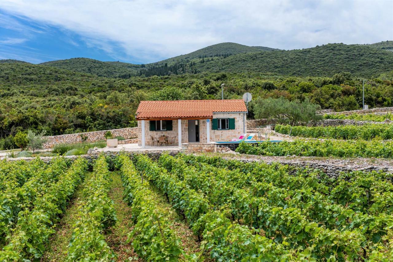 Вилла Vineyard House & Olive Grove House Рачишче Экстерьер фото