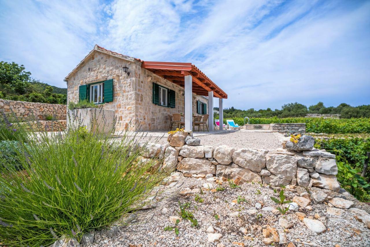 Вилла Vineyard House & Olive Grove House Рачишче Экстерьер фото