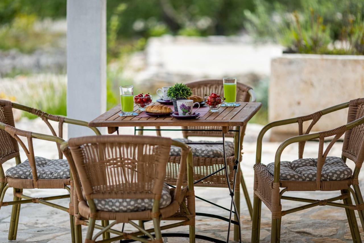 Вилла Vineyard House & Olive Grove House Рачишче Экстерьер фото