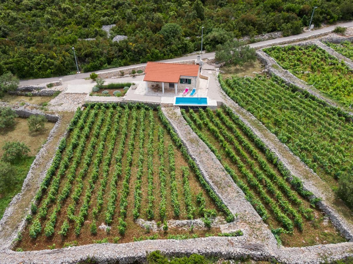Вилла Vineyard House & Olive Grove House Рачишче Экстерьер фото
