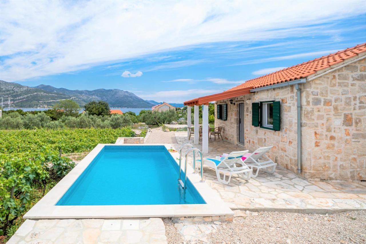 Вилла Vineyard House & Olive Grove House Рачишче Экстерьер фото