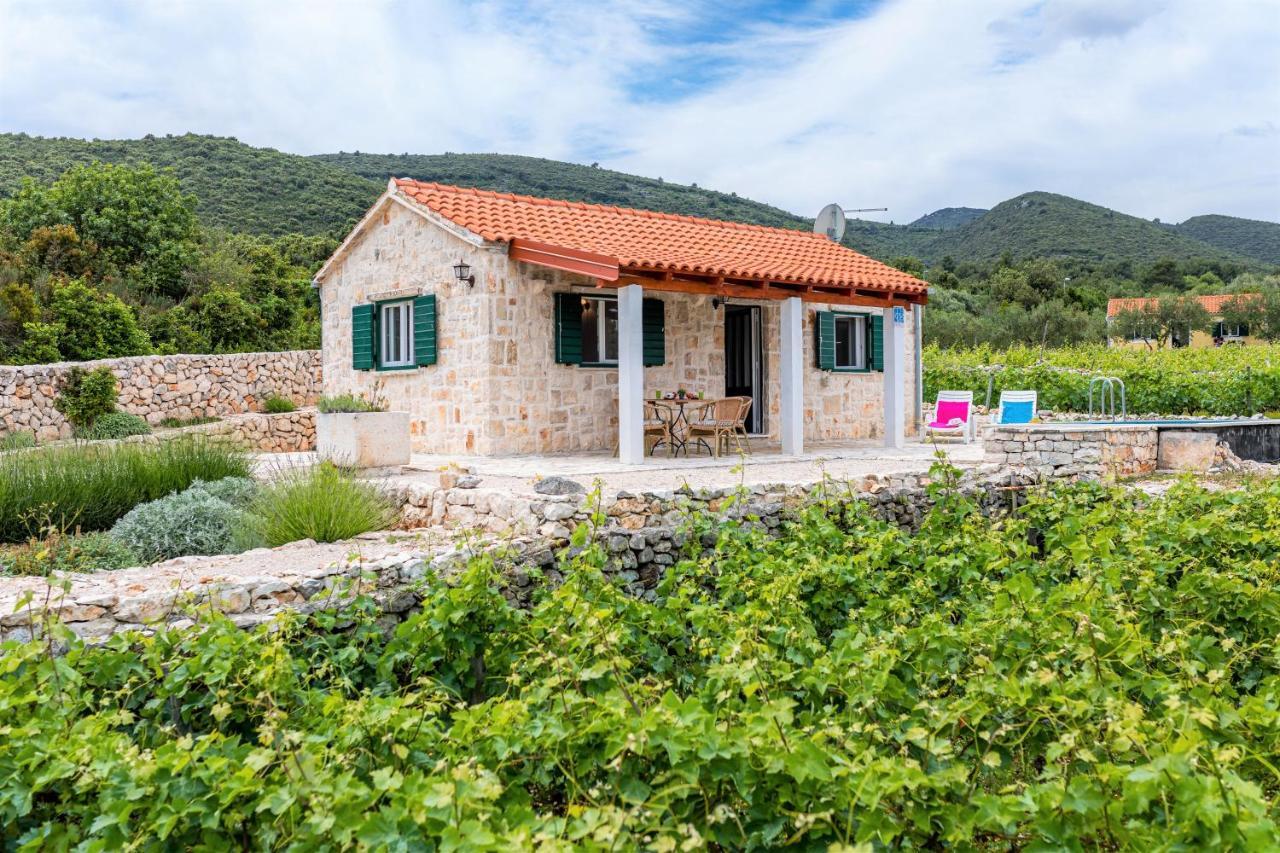 Вилла Vineyard House & Olive Grove House Рачишче Экстерьер фото