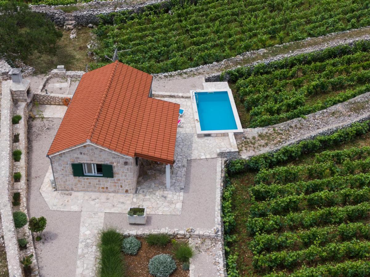 Вилла Vineyard House & Olive Grove House Рачишче Экстерьер фото