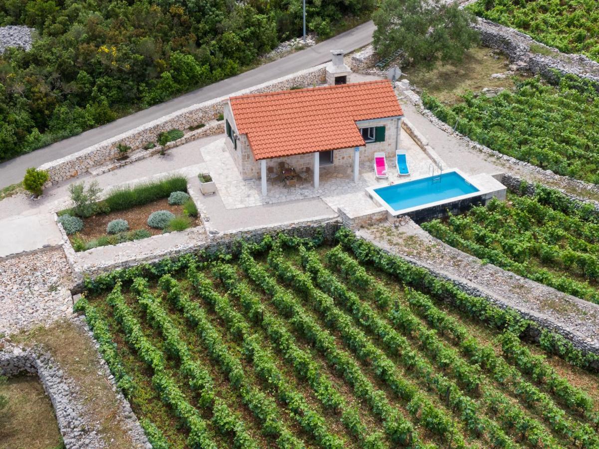 Вилла Vineyard House & Olive Grove House Рачишче Экстерьер фото