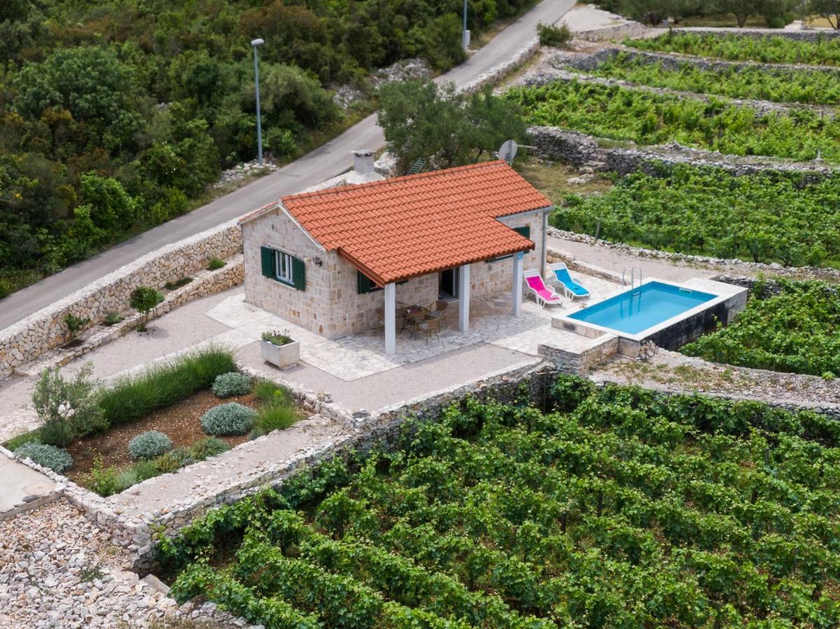 Вилла Vineyard House & Olive Grove House Рачишче Экстерьер фото