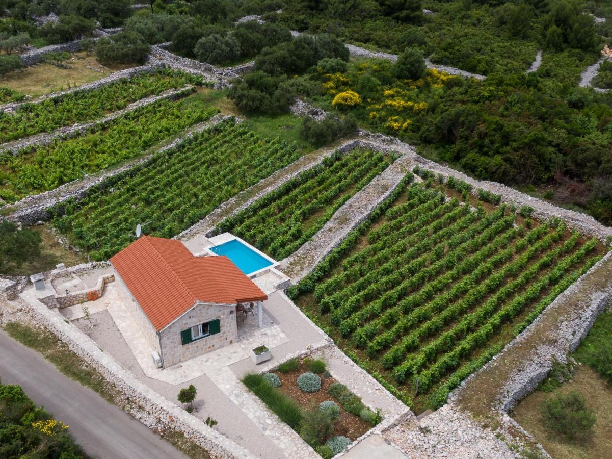 Вилла Vineyard House & Olive Grove House Рачишче Экстерьер фото
